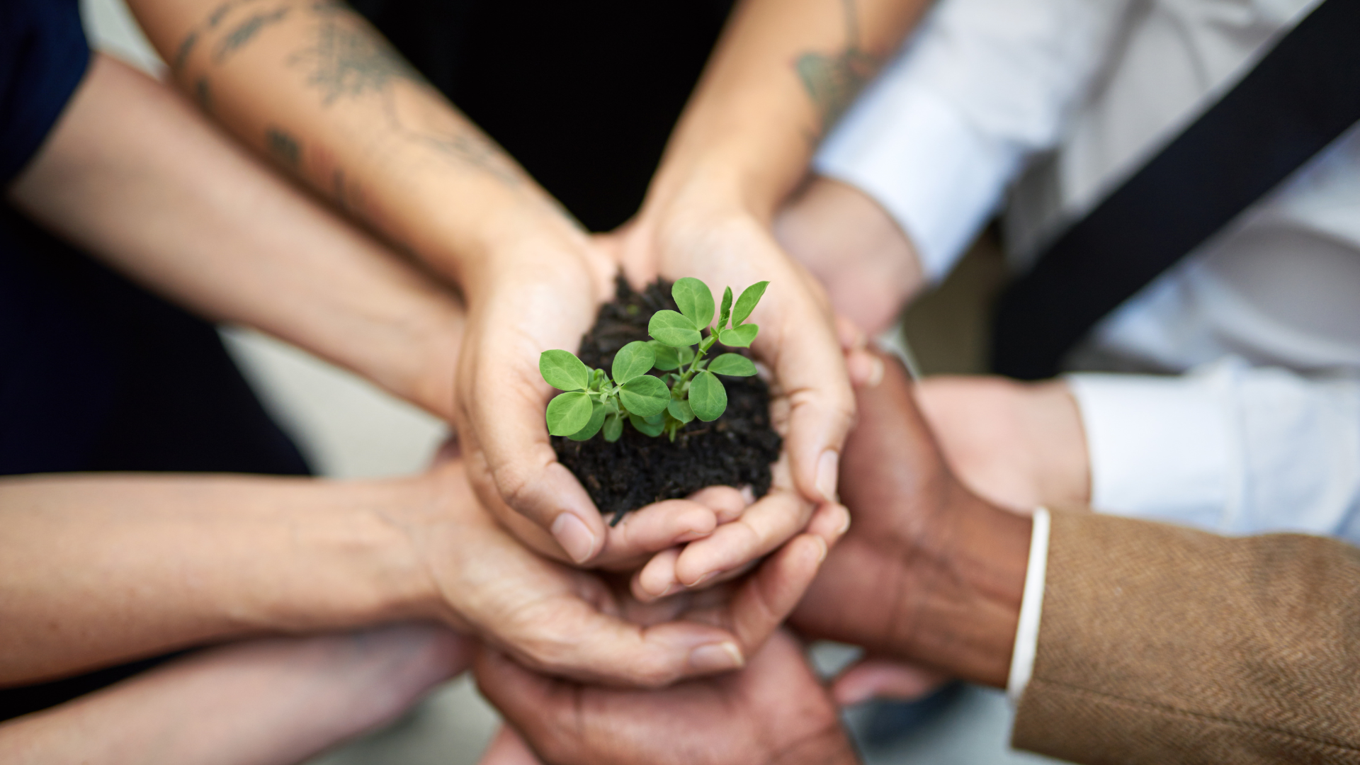 Environmental commitment